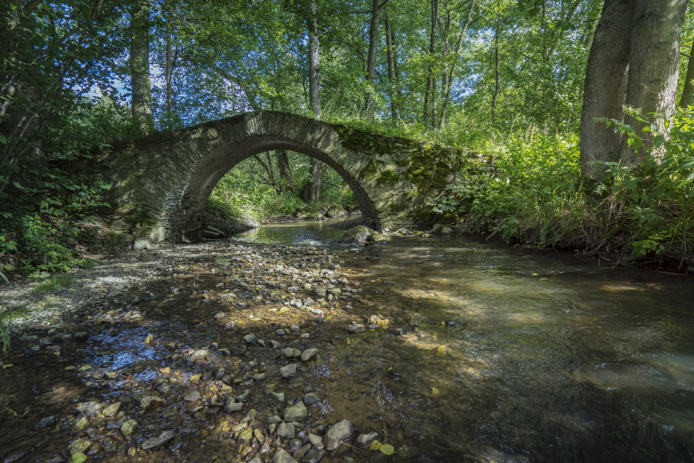 Schafbrücke im Kemnitzbachtal