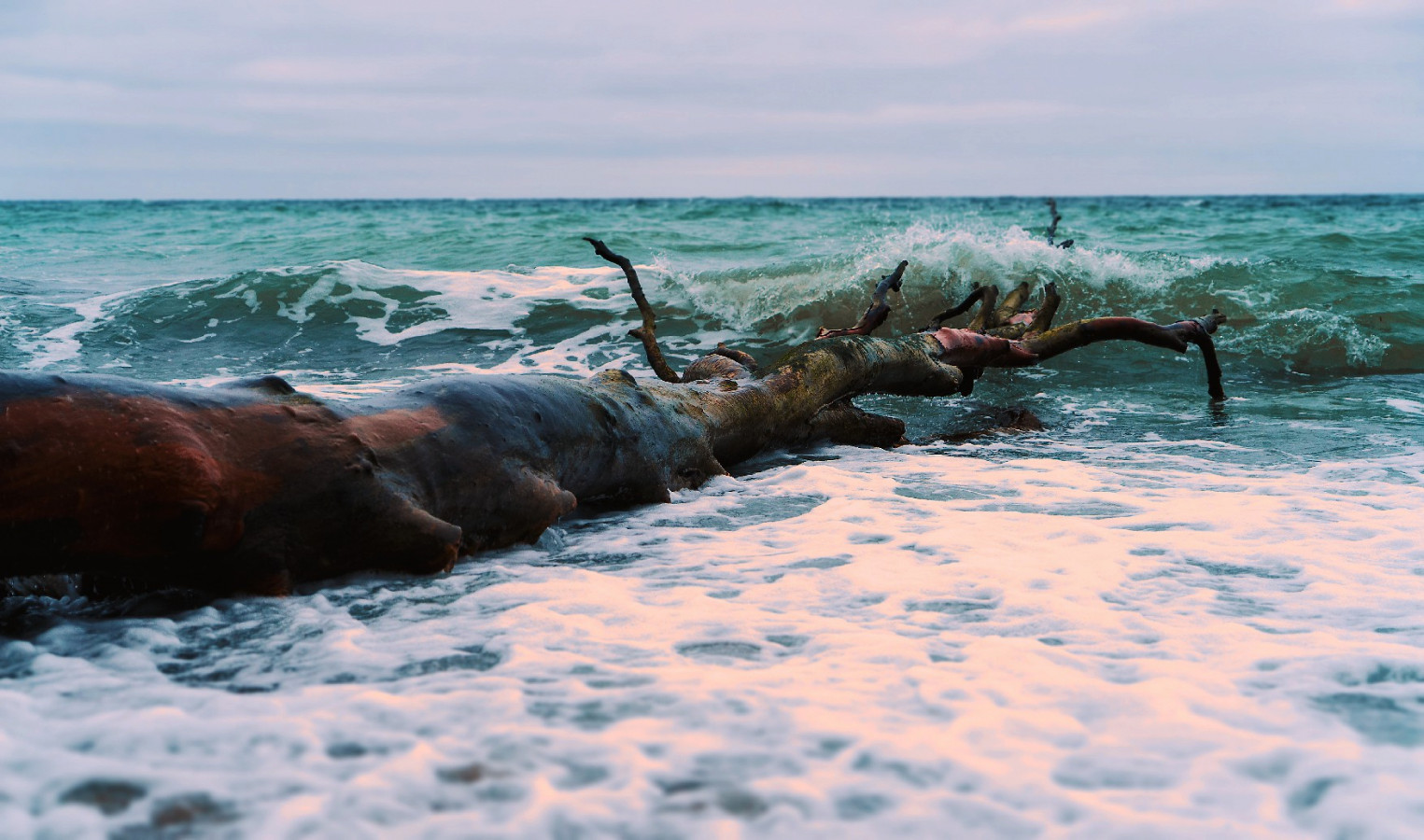 Ostsee