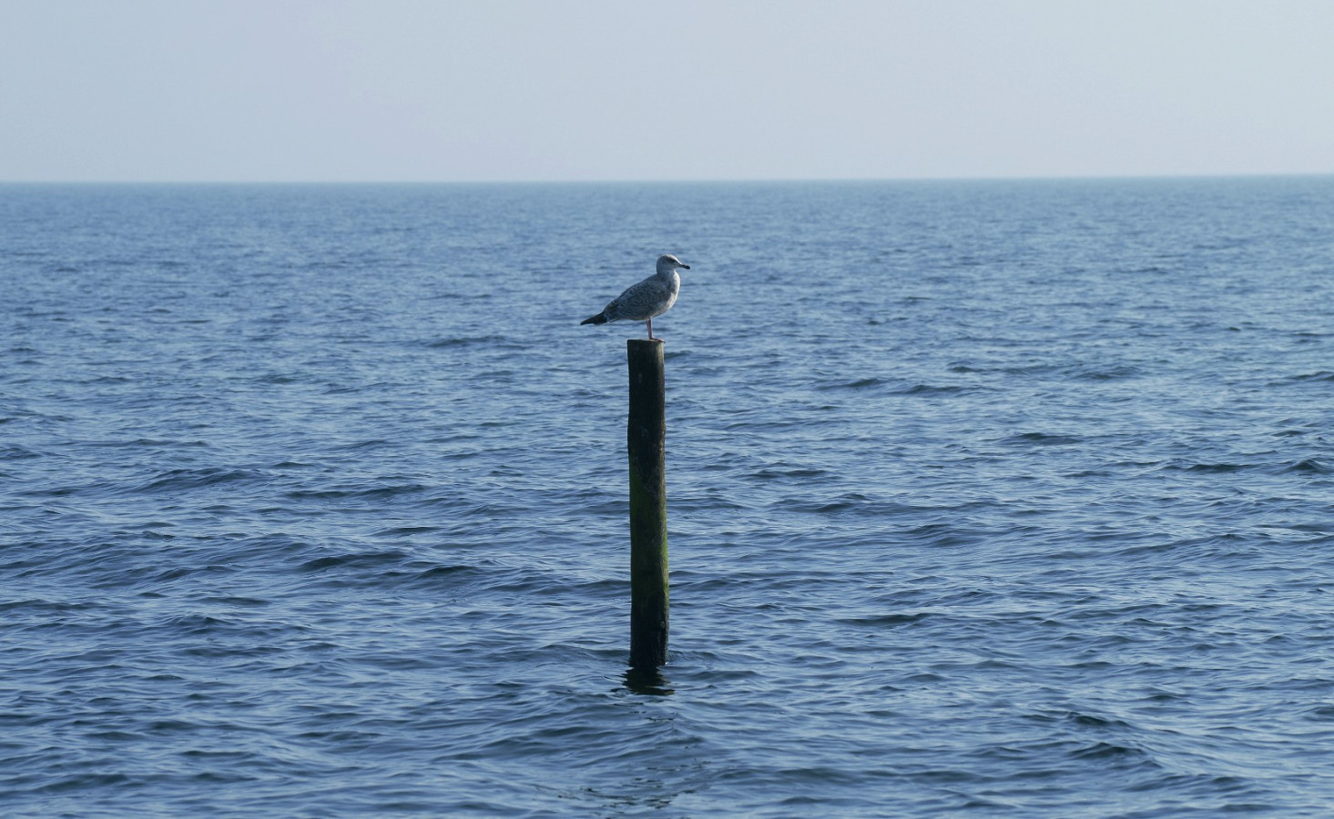 Ostsee