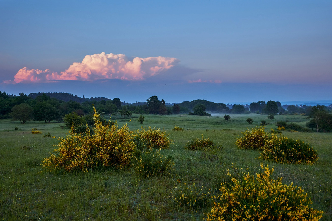 Weidenteich Vogtland Vogtland Panorama Weg